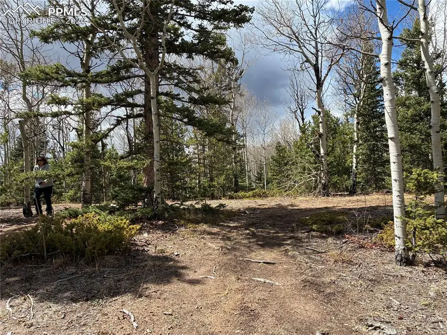 12201 S Highway 67, Divide, CO 80814 - #2