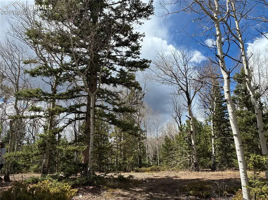 12201 S Highway 67, Divide, CO 80814 - #3