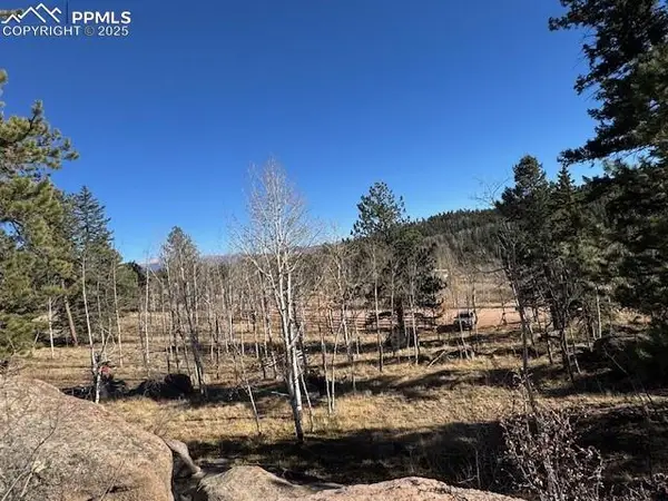 21 County Road 403, Guffey, CO 80820