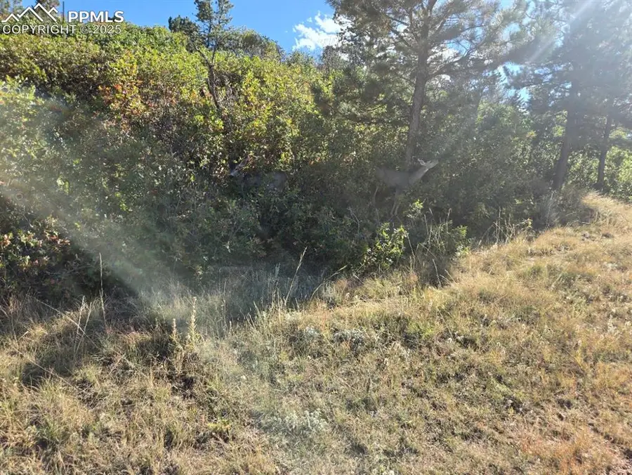 23 N 15th Street, Colorado Springs, CO 80926 - Image #2