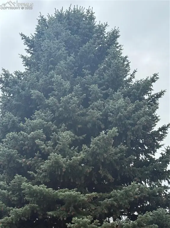 23 N 15th Street, Colorado Springs, CO 80926 - Image #3