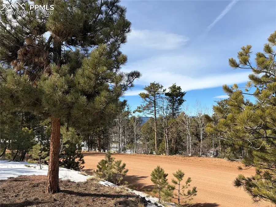 530 Columbine Road, Florissant, CO 80816 - #3