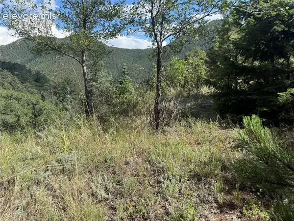 312 Upper Sun Valley Lane, Manitou Springs, CO 80829