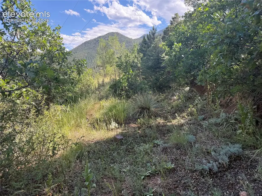 312 Upper Sun Valley Lane, Manitou Springs, CO 80829 - #3