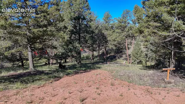 91 Utah Way, Florissant, CO 80816
