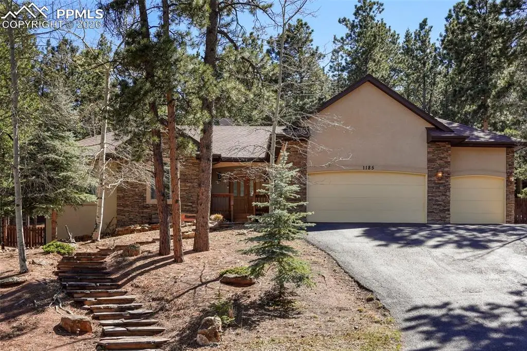 1185 Karen Lane, Woodland Park, CO 80863 - #1