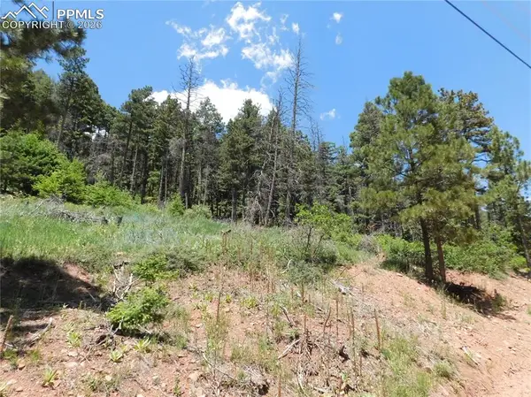 Lot 11 Woodmoor West Drive, Larkspur, CO 80118