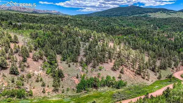 626 Little Topsey Drive, Cripple Creek, CO 80813