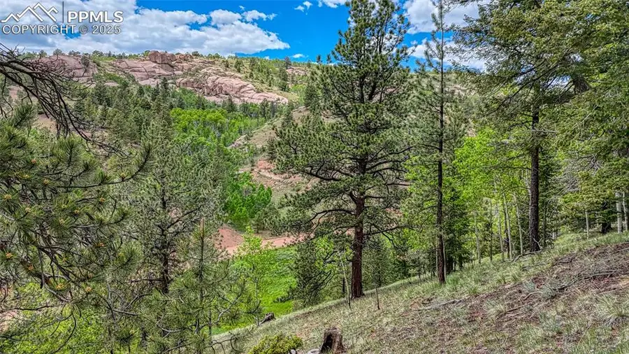 626 Little Topsey Drive, Cripple Creek, CO 80813 - Image #3