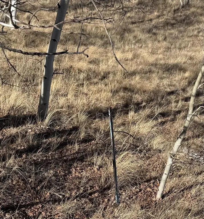 381 Remington Road, Jefferson, CO 80456 - Image #1