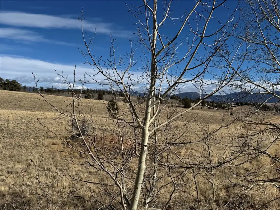 381 Remington Road, Jefferson, CO 80456 - Image #3