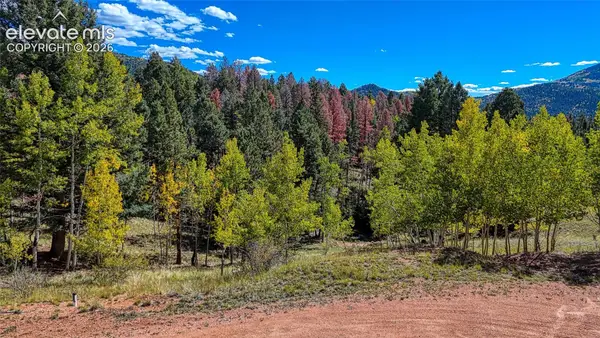136 Gold Crown Circle, Cripple Creek, CO 80813