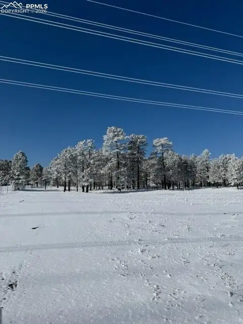 12196 Goodson Road, Colorado Springs, CO 80908 - #3