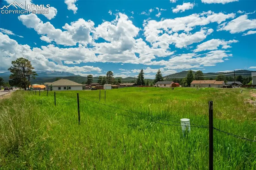 Baldwin Street, Woodland Park, CO 80863 - #2