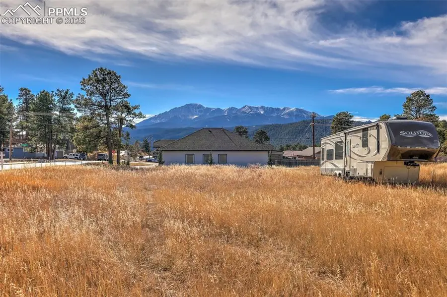 Baldwin Street, Woodland Park, CO 80863 - #3
