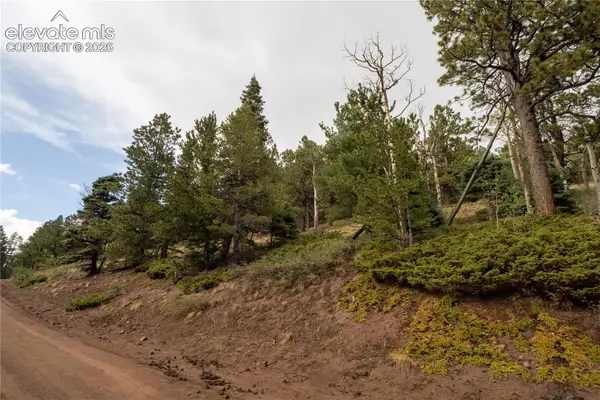 Lot 2797 Moir Drive, Fort Garland, CO 81133