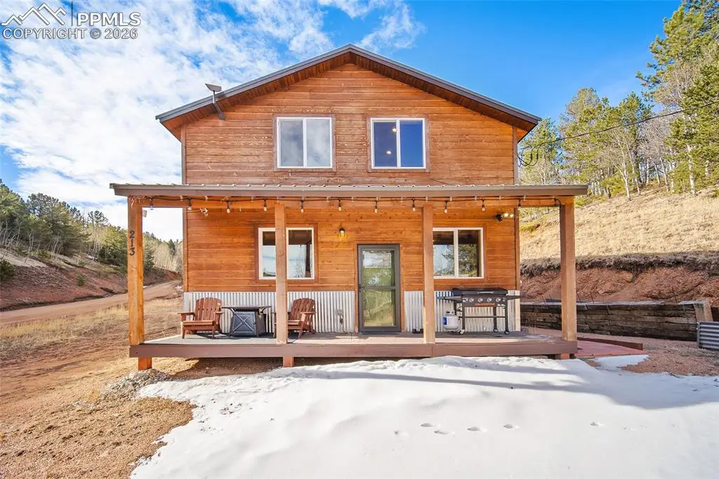 213 Willow Road, Divide, CO 80814 - #1