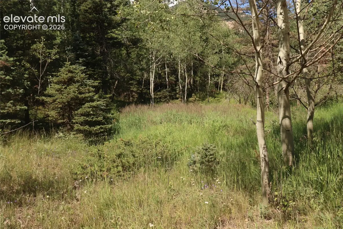 286 Coffee Road, Manitou Springs, CO 80829 - #1