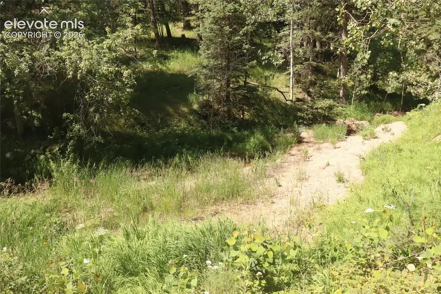 286 Coffee Road, Manitou Springs, CO 80829 - #3