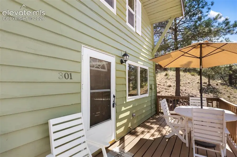 301 Circle Drive, Florissant, CO 80816 - #3