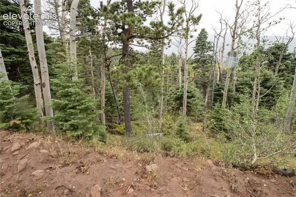 Lot 2825 Moir Drive, Fort Garland, CO 81133