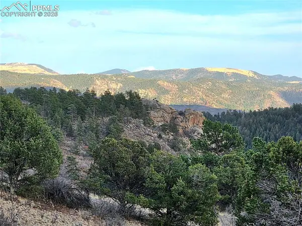 204 Pine Road, Florissant, CO 80816
