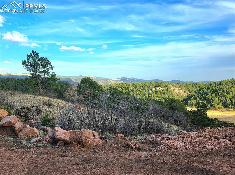 204 Pine Road, Florissant, CO 80816 - #2