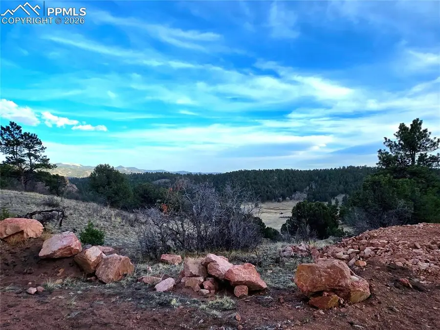 204 Pine Road, Florissant, CO 80816 - #3