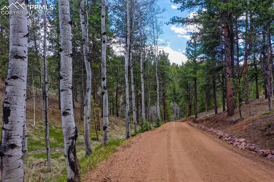 185 Wildcat Creek Drive, Florissant, CO 80816 - #3