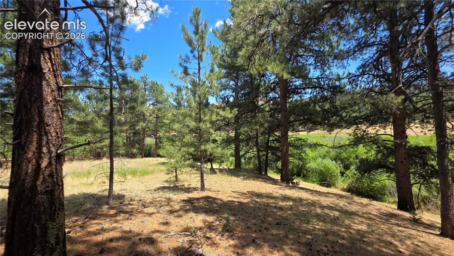 15394 Westcreek Road, Woodland Park, CO 80863 - #2