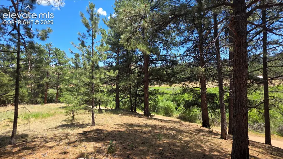 15394 Westcreek Road, Woodland Park, CO 80863 - #3