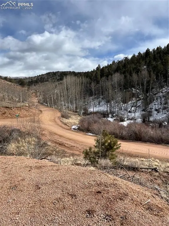 2136 Golden Cycle Circle, Cripple Creek, CO 80813 - #3