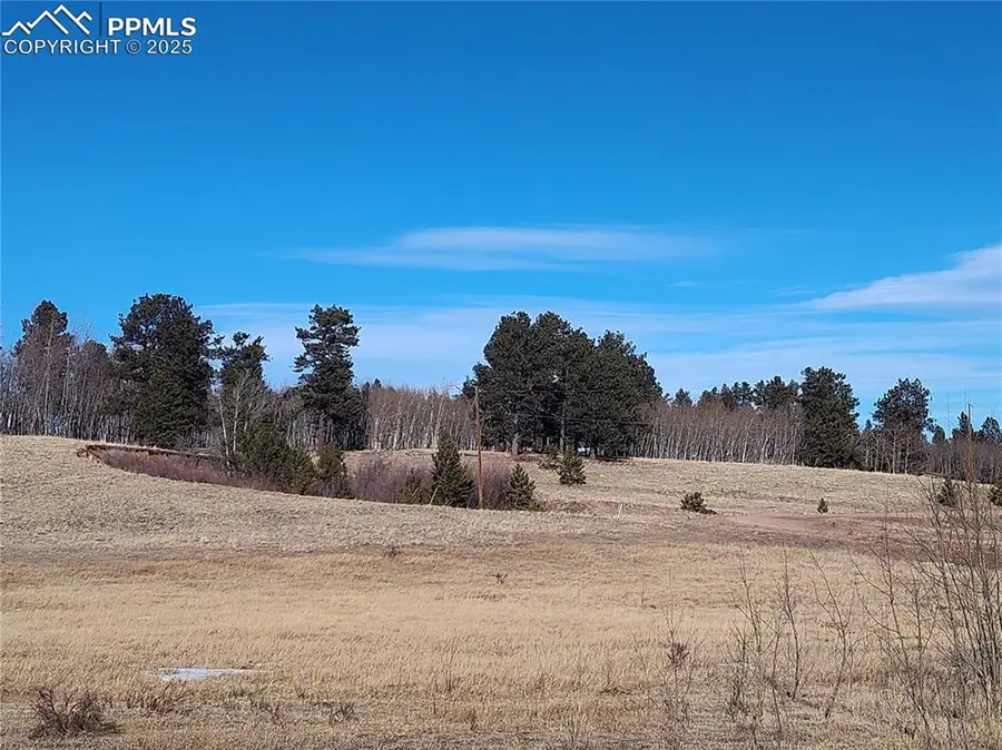 29 Hidden Valley Drive, Florissant, CO 80816 - Image #2