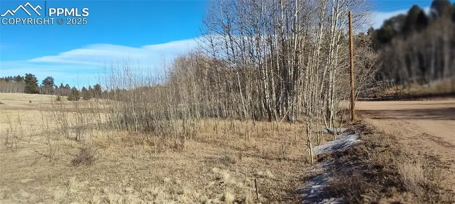 29 Hidden Valley Drive, Florissant, CO 80816 - Image #3