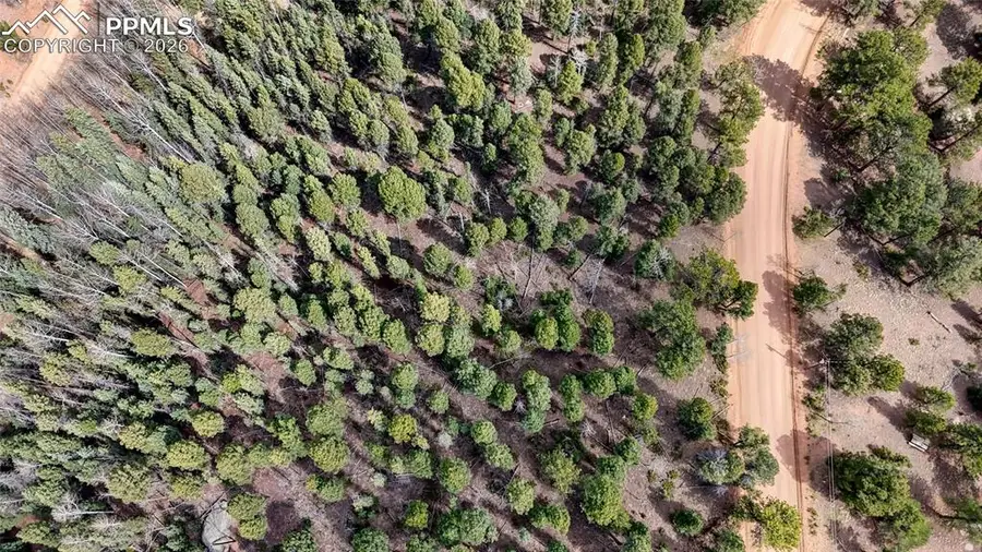 2151 N Mountain Estates Road, Florissant, CO 80816 - #2