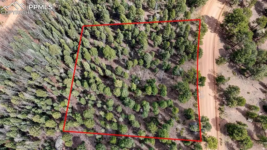 2151 N Mountain Estates Road, Florissant, CO 80816 - #3