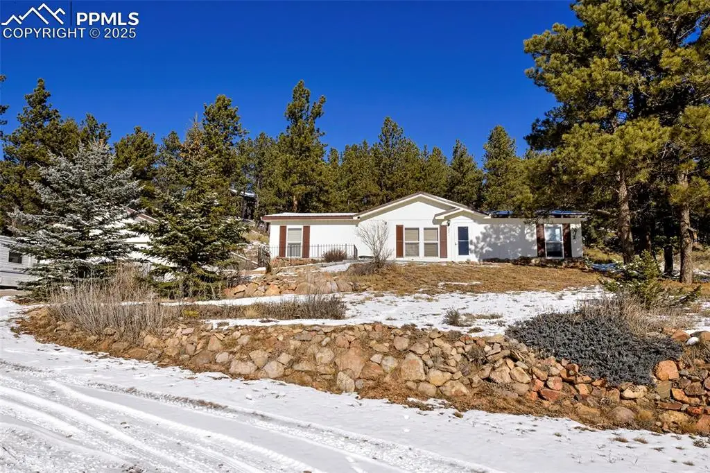271 Circle Drive, Florissant, CO 80816 - #1