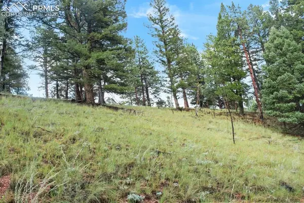 131 Lost Lake Circle, Divide, CO 80814