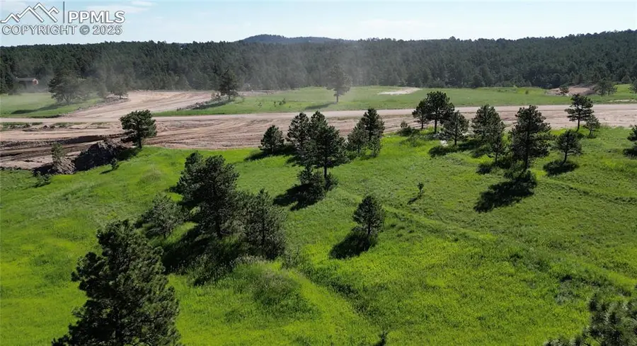 17629 Emerson Cliff Court, Colorado Springs, CO 80908 - Image #3