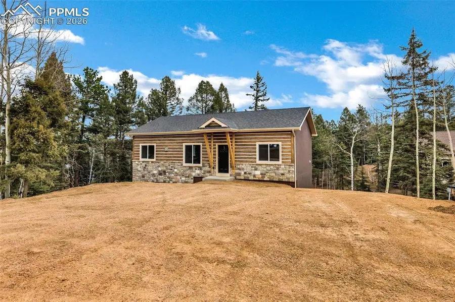 1279 N Mountain Estates Road, Florissant, CO 80816 - #3
