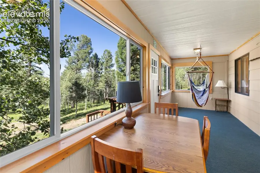 173 Deerview Drive, Florissant, CO 80816 - #3