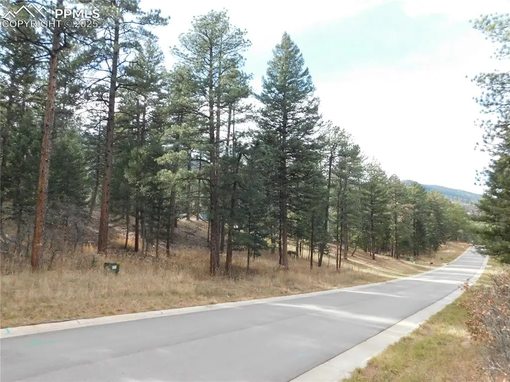 8139 Bannock Drive, Larkspur, CO 80118 - #1