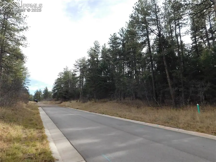 8139 Bannock Drive, Larkspur, CO 80118 - #2