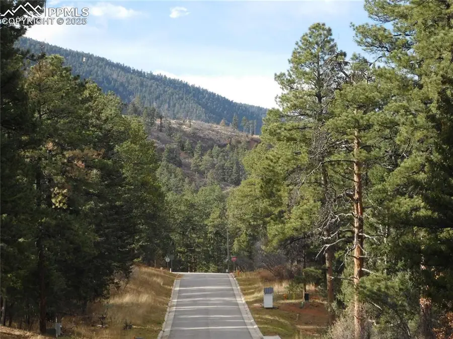 8139 Bannock Drive, Larkspur, CO 80118 - #3