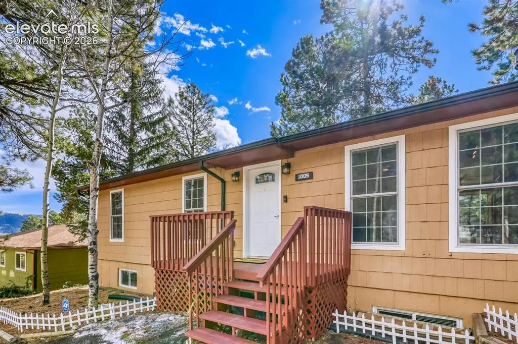 1005 W Browning Avenue, Woodland Park, CO 80863 - #1