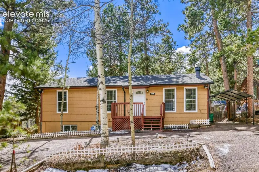 1005 W Browning Avenue, Woodland Park, CO 80863 - #2