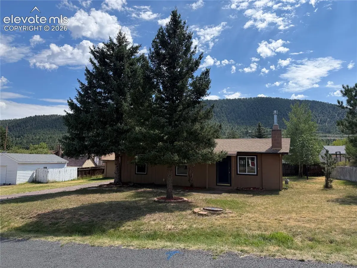 919 N Fullview Street, Woodland Park, CO 80863 - #1