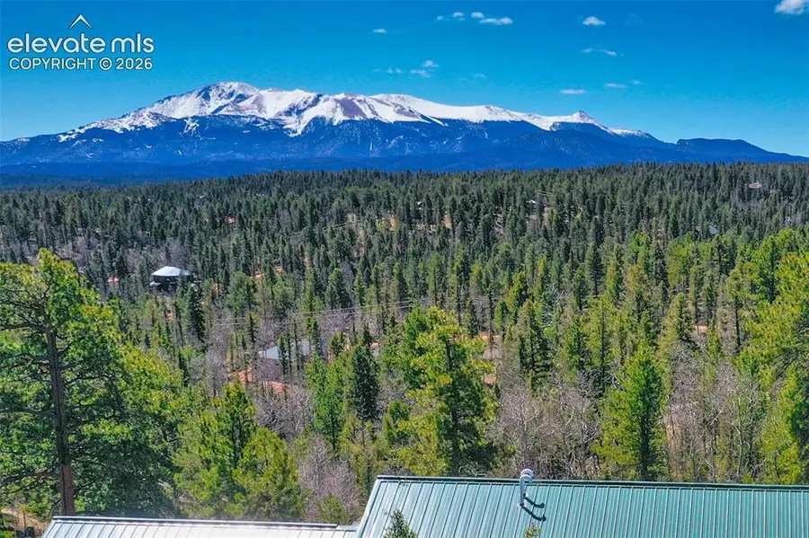 5542 North Road, Divide, CO 80814 - #2