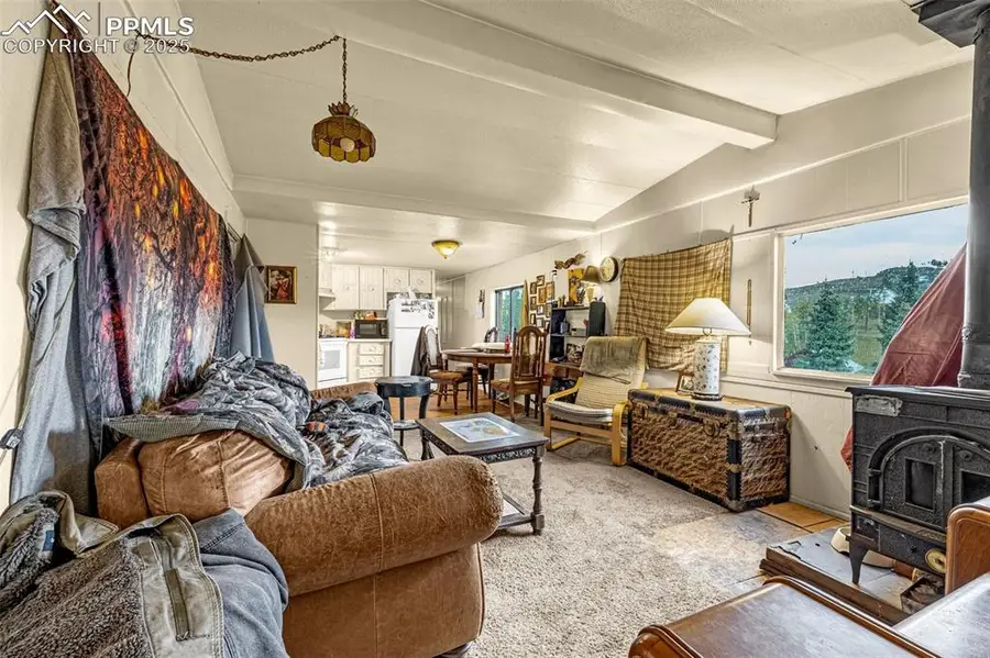 235 Whalen Avenue, Cripple Creek, CO 80813 - Image #3