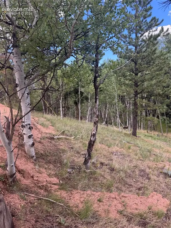 40 Sequoia Trail, Woodland Park, CO 80863